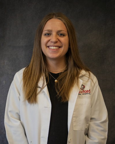 Dr. Katie Boockmeier